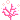 coral1