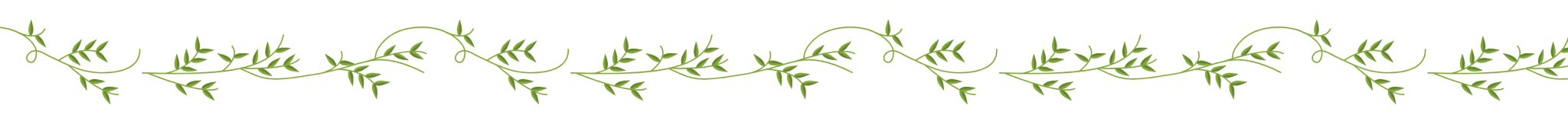 A vine themed divider