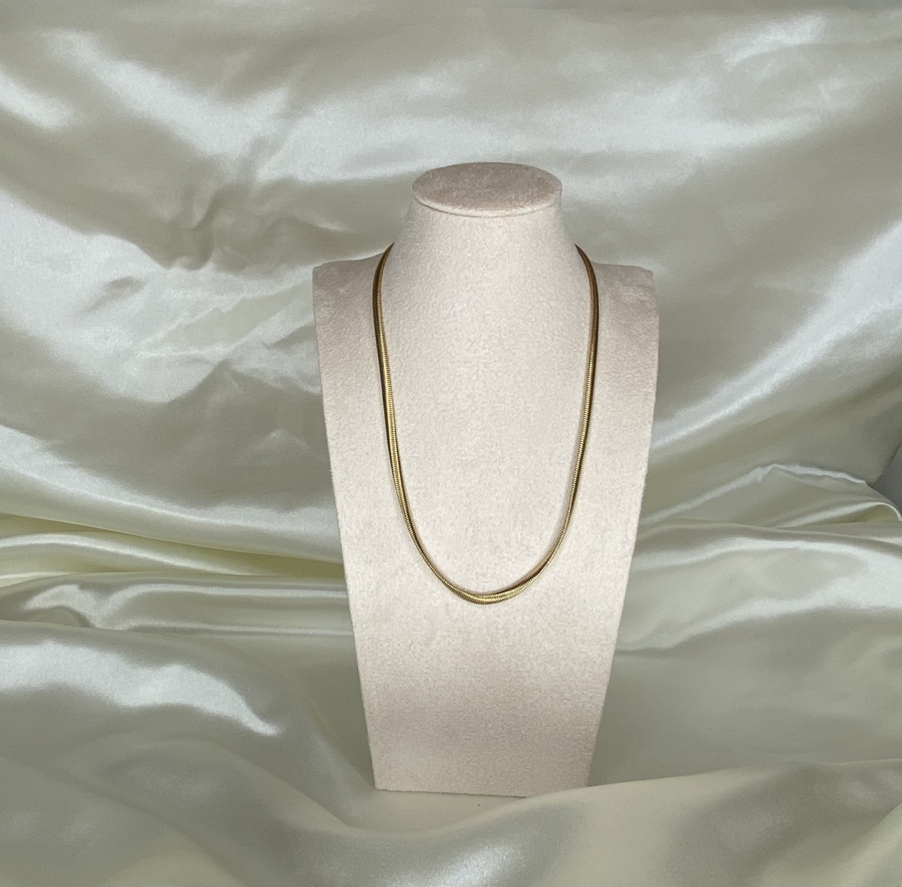 S. Steel visgraat ketting