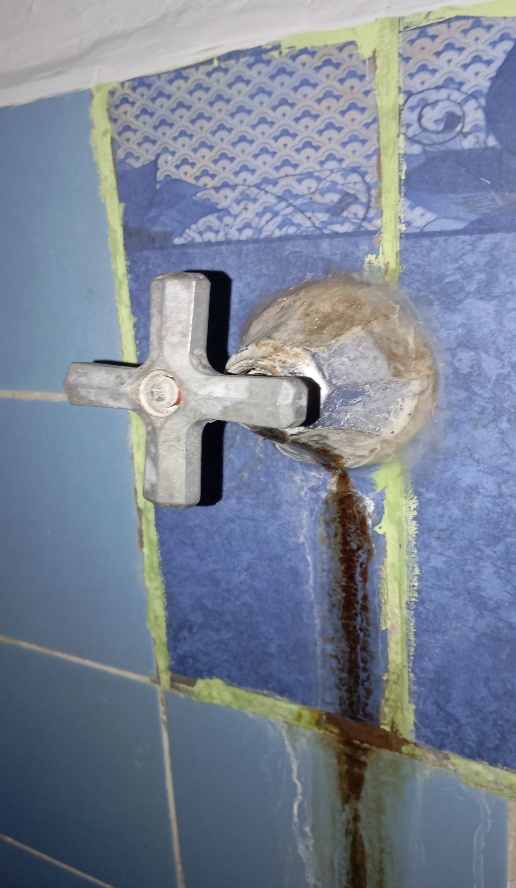 Válvula de ducha corroída y con fuga, baño cochera