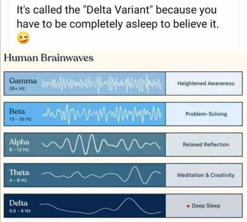 2021年6月27日星期日文摘:幕后奇才|星际飞船地球