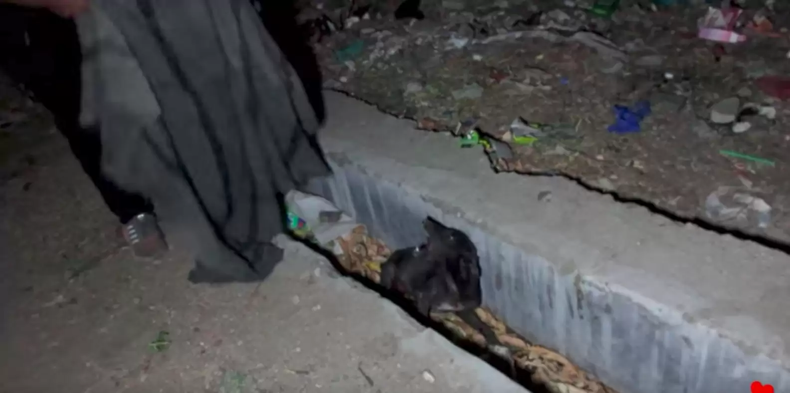 Rescue image 2