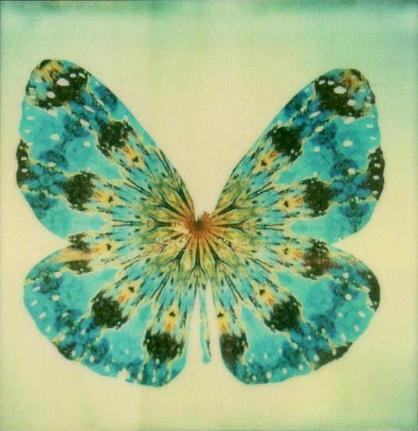 Nemea's Butterfly