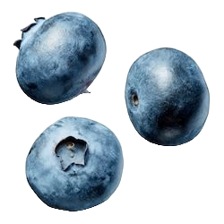 blueberries