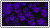 purple flowers