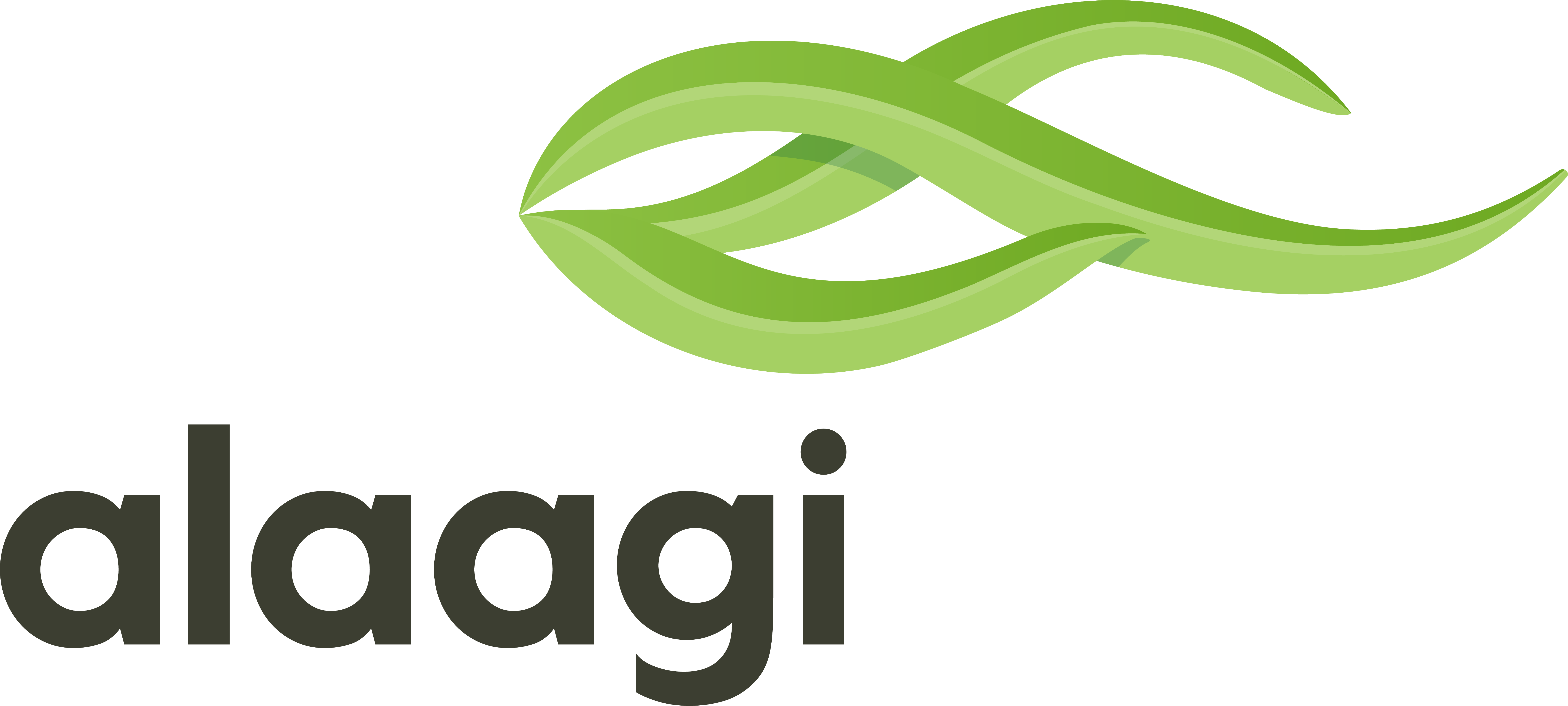 Alaagi
