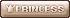 A beige shiny button that says "PRINCESS"