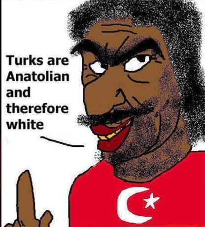 8m1fje.jpg