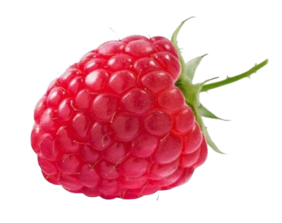 raspberry