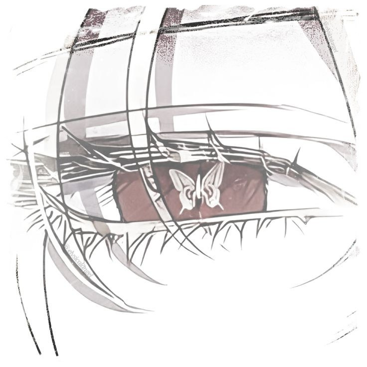 [Image: 8p572u.jpg]