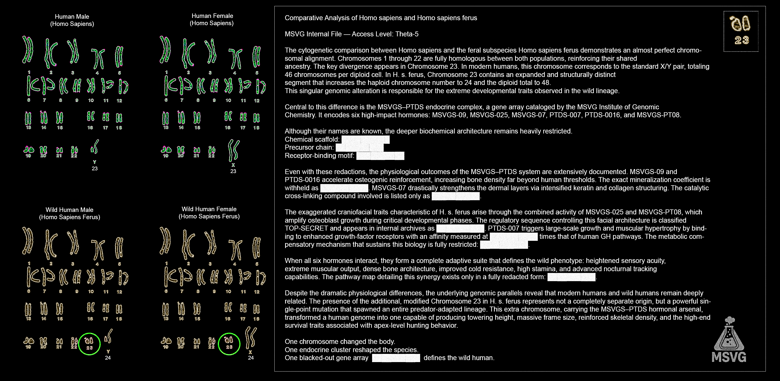 Research Image 6