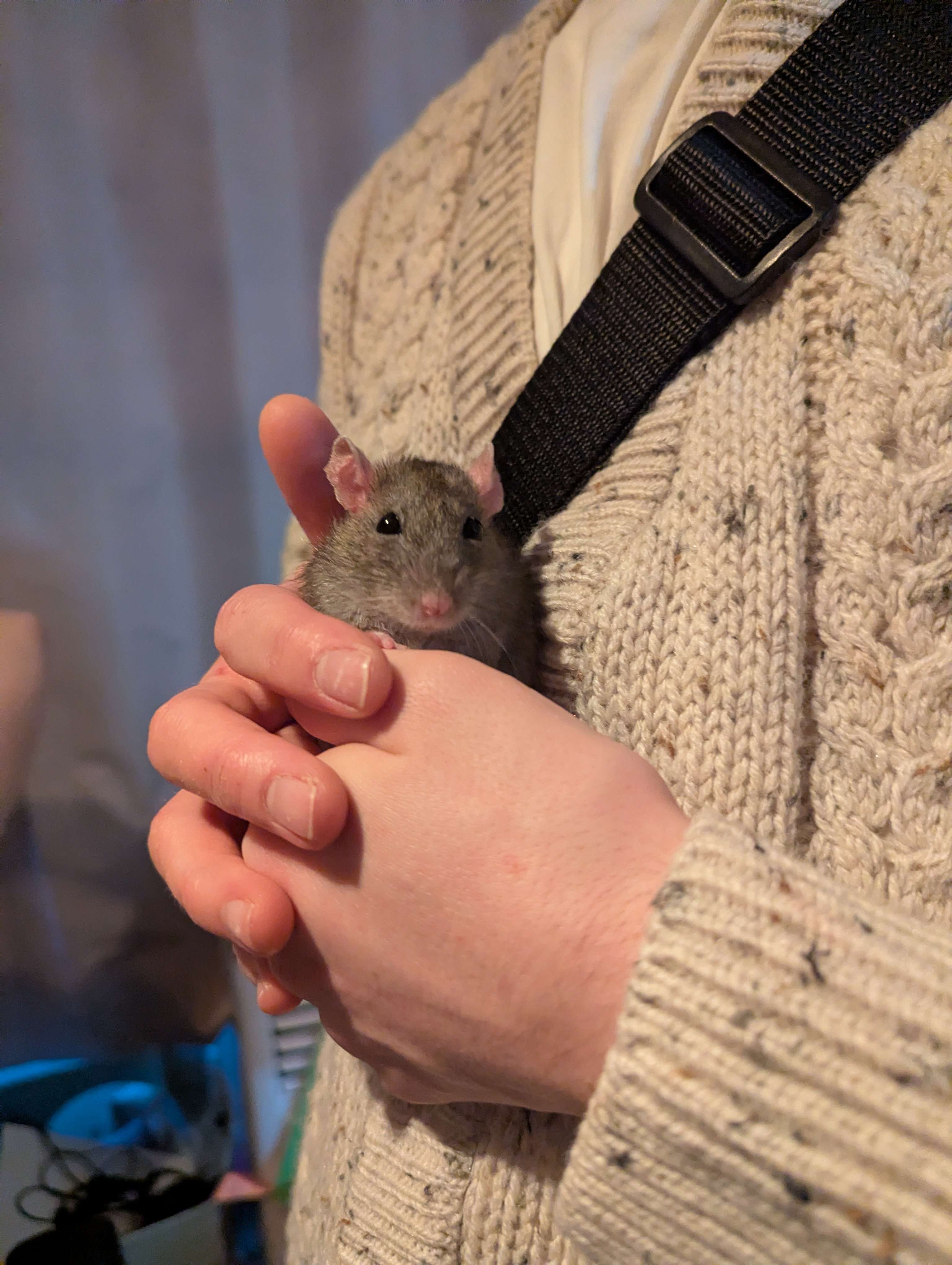 Cheatsheet image example