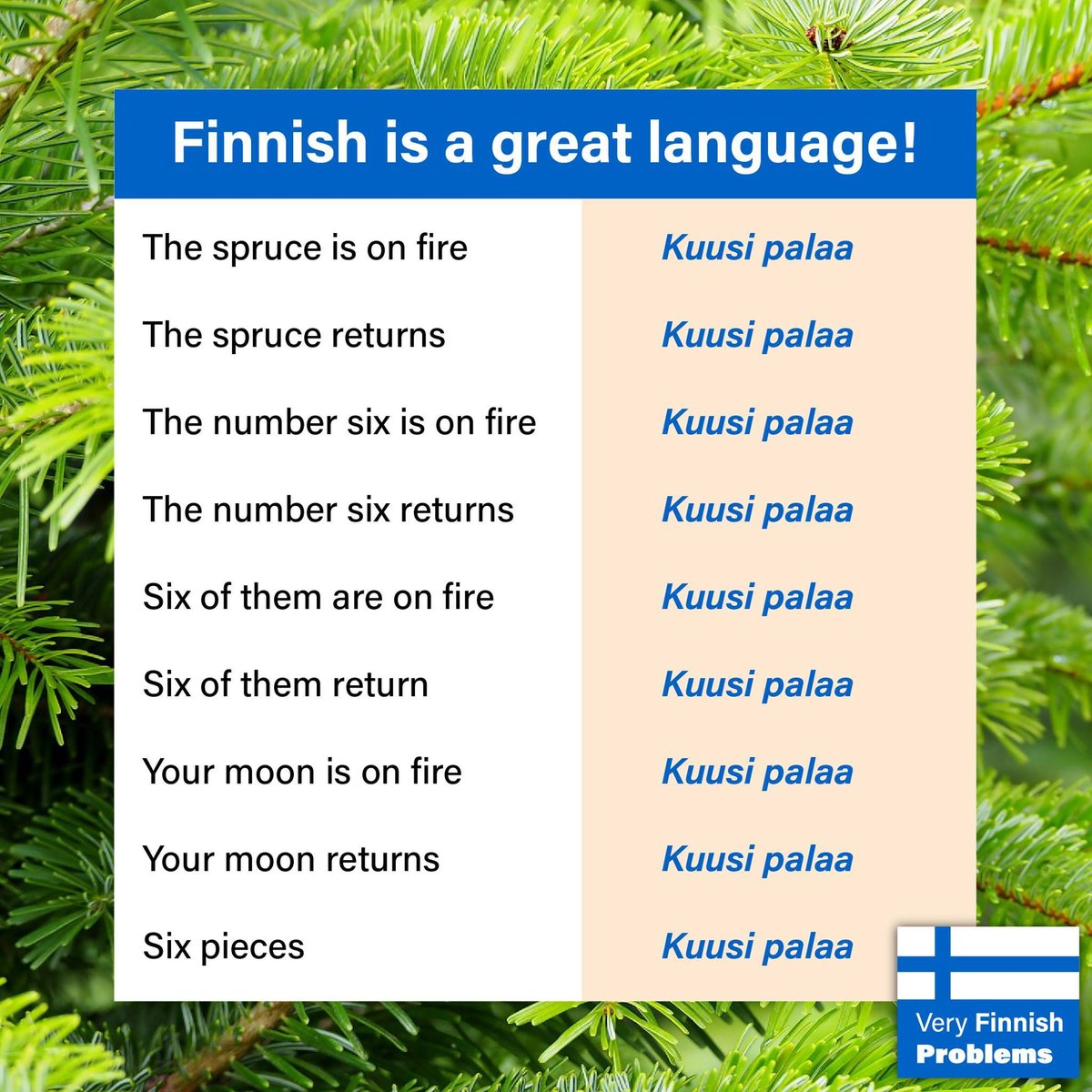 Very Finnish Problems meme showing kuusi palaa translates nine different ways in Finnish