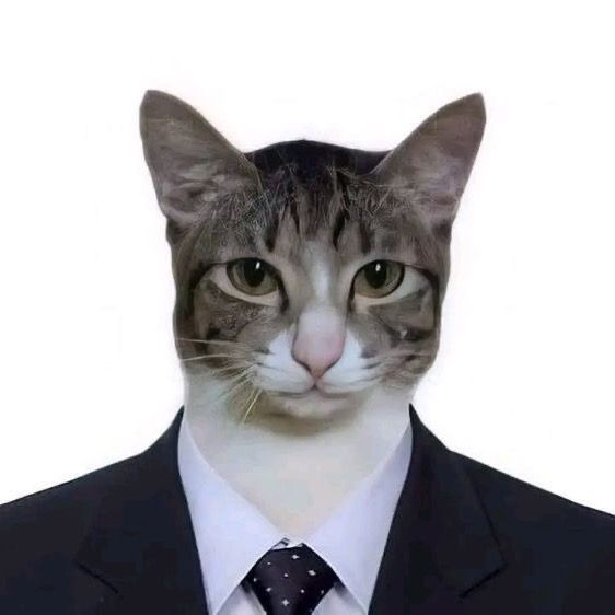 admin cat