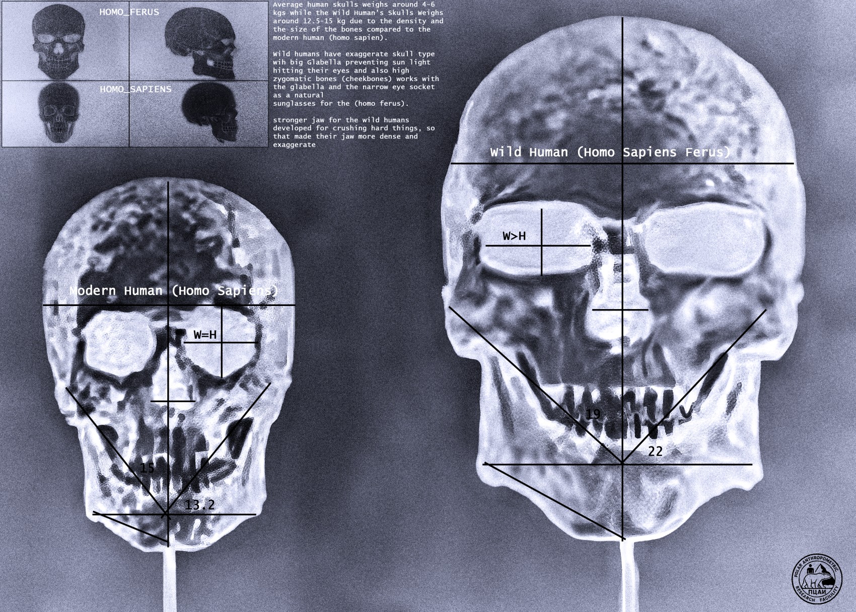 Research Image 3