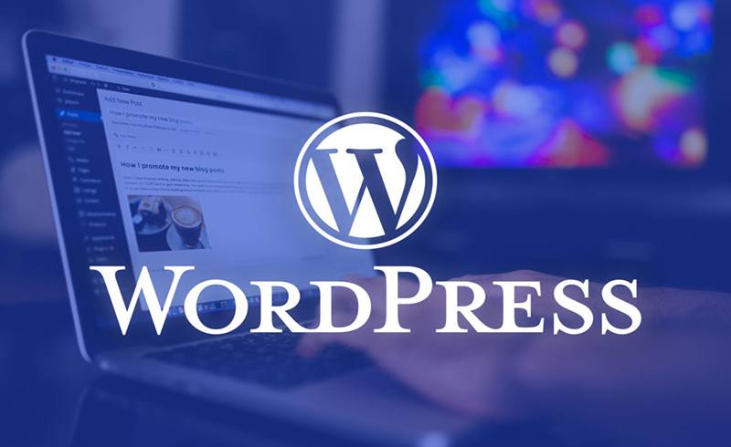 Nền tảng website Wordpress