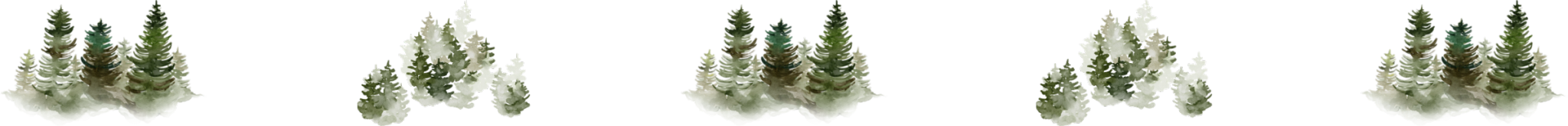 woodsdivider2