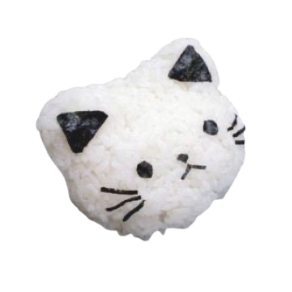 rice cat