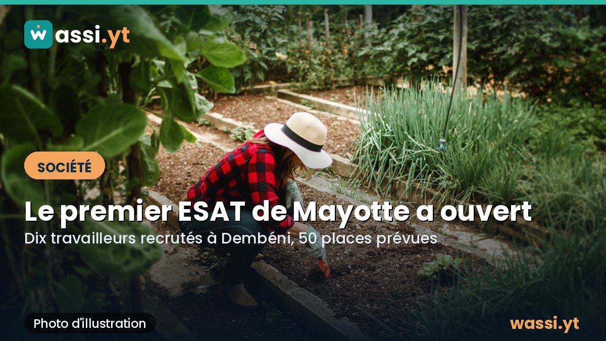 Handicap : le premier ESAT de Mayotte a ouvert à Dembéni, dix travailleurs déjà recrutés