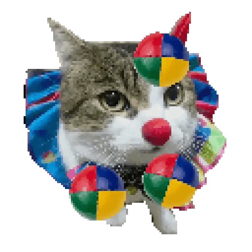 catclown