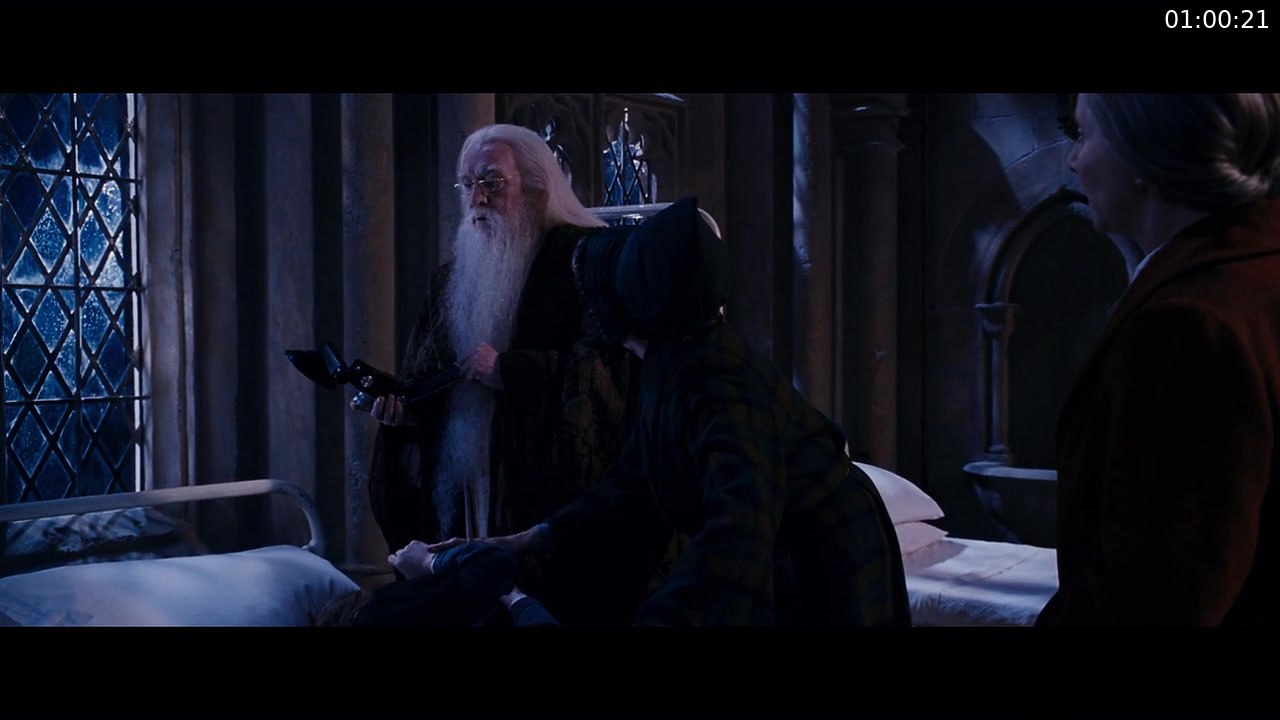 Harry Potter and the Chamber of Secrets screenshot