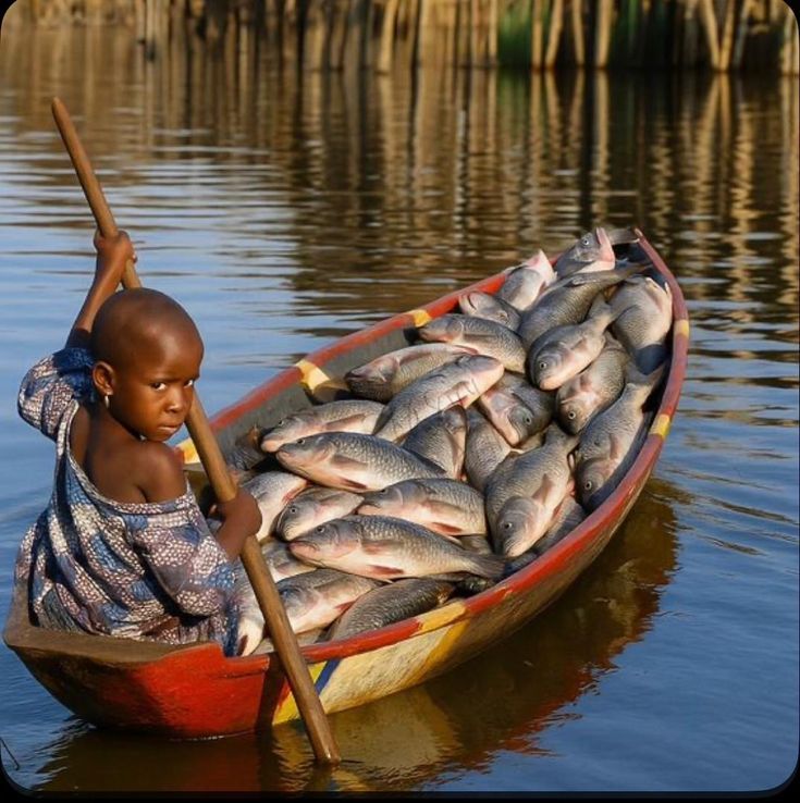Girl Who Caught Impossible Fishes
