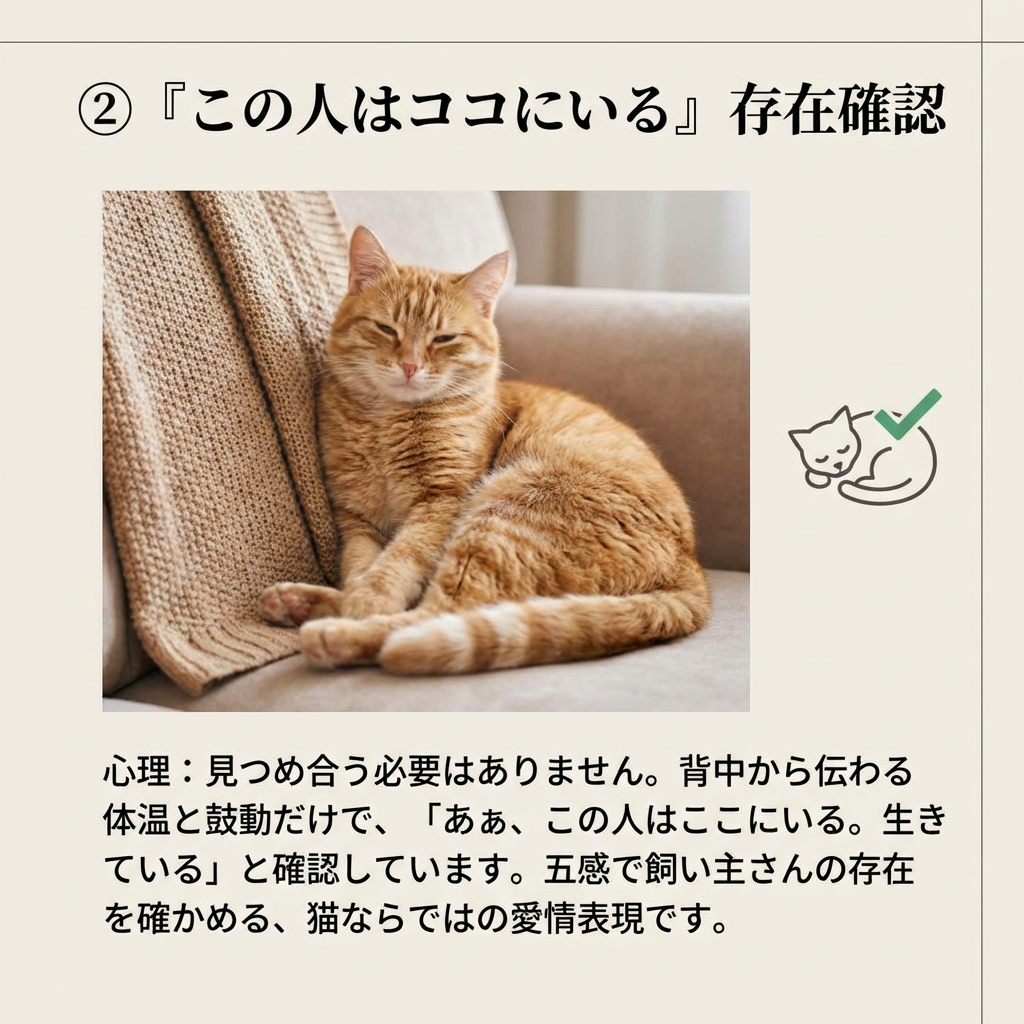 猫が背中をくっつける理由とその愛情表現 - Image 4