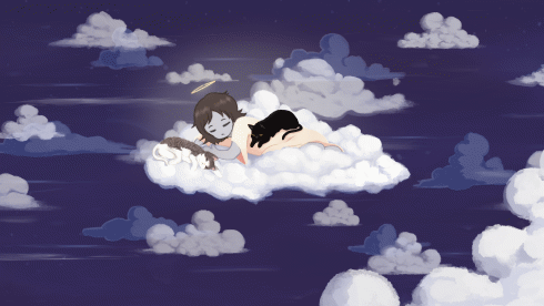 vibekilla.sol Solana Name Service (SNS and .sol domain) PFP