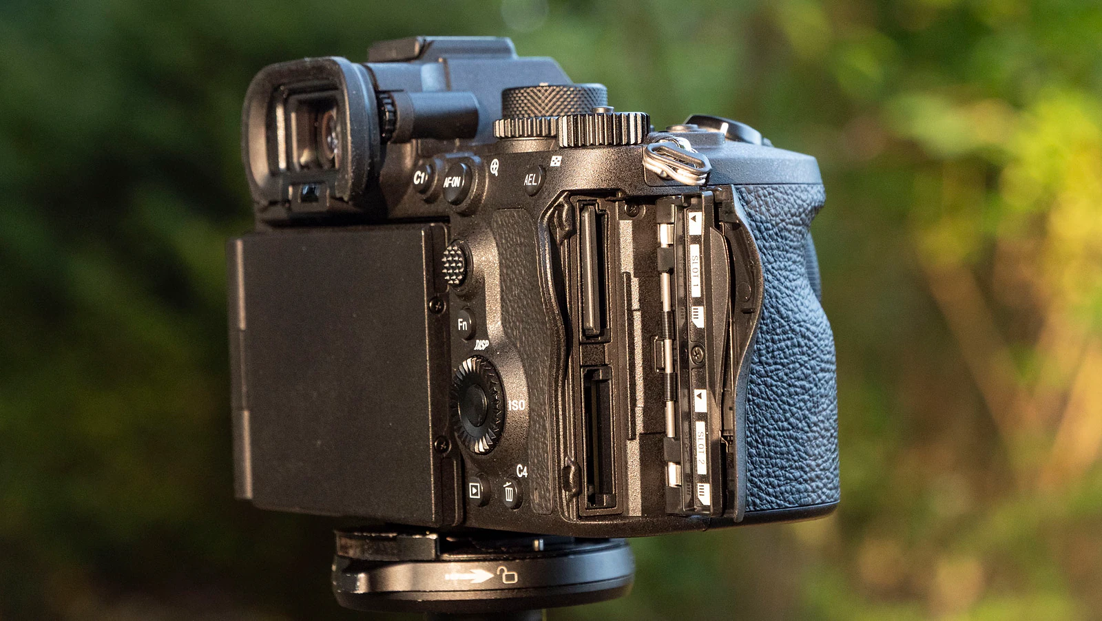 Sony A7R VI vs A7R V: 5 Nâng Cấp Biến A7R VI Thành Flagship Mới? - Hình 2