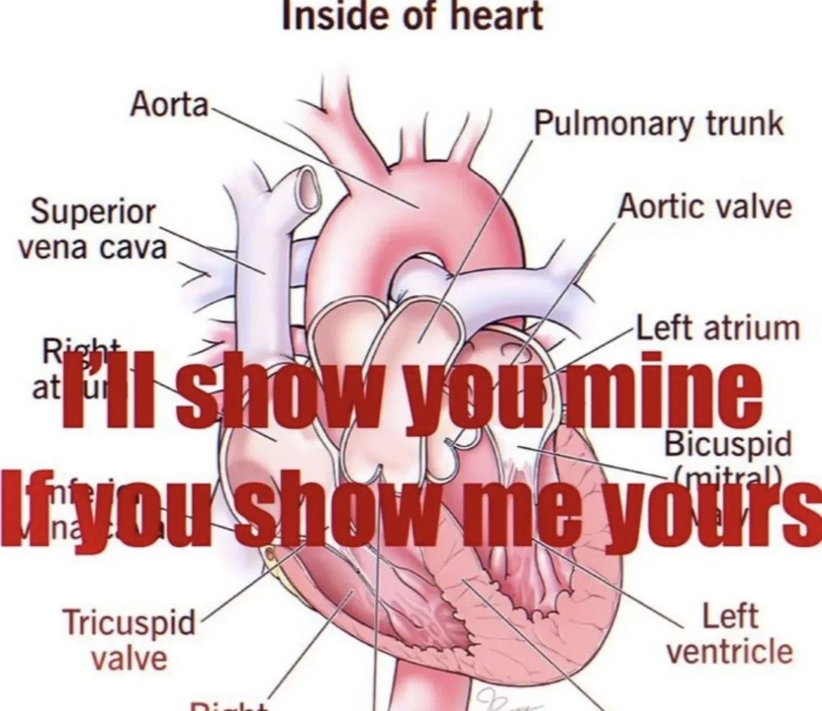 I'll show you mine if you show me yours