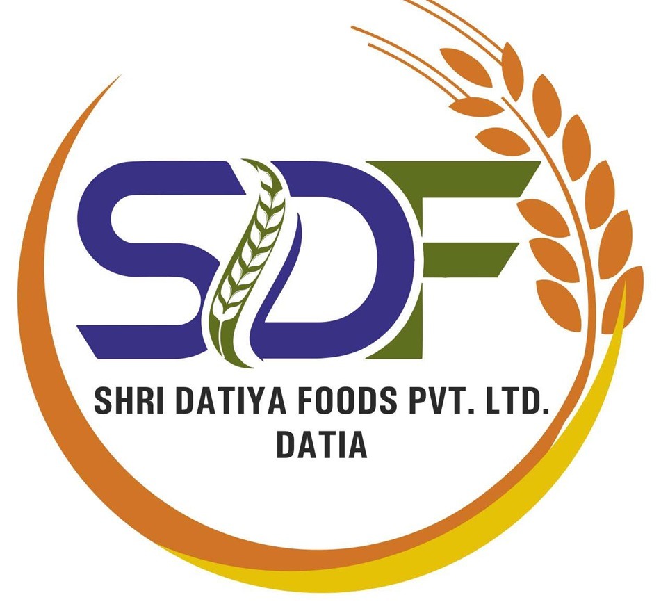 Logo Animation