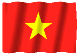VN