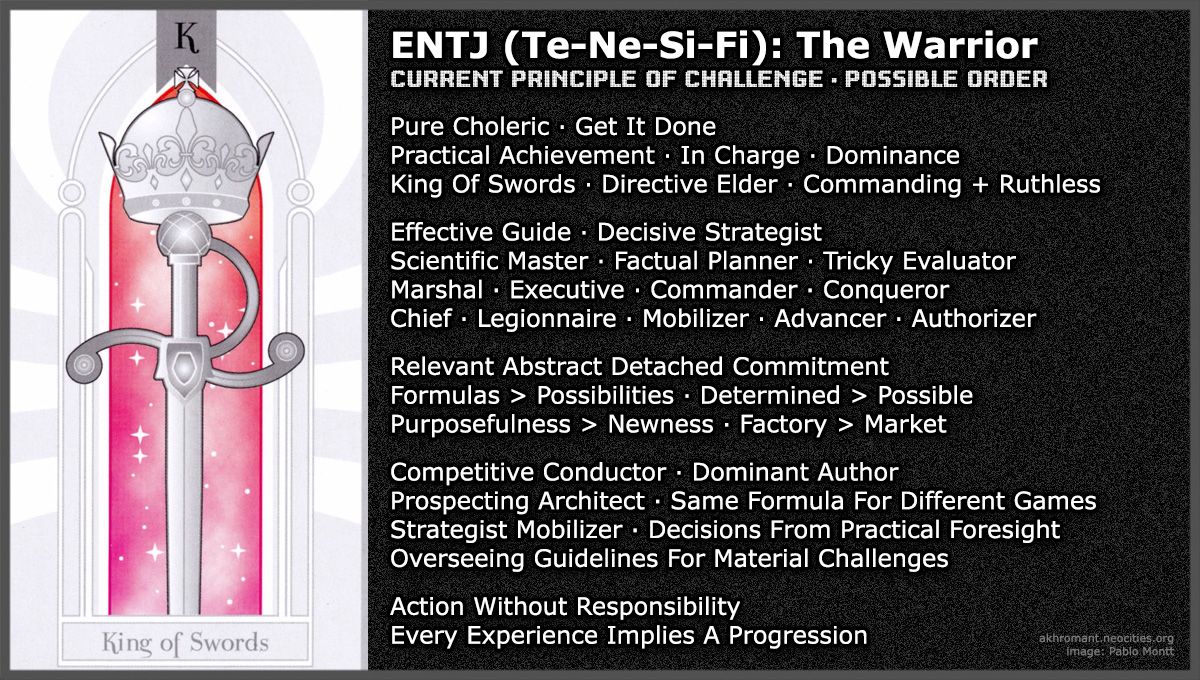 ENTJ (Te-Ne-Si-Fi)