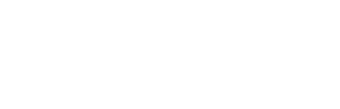 TAISI