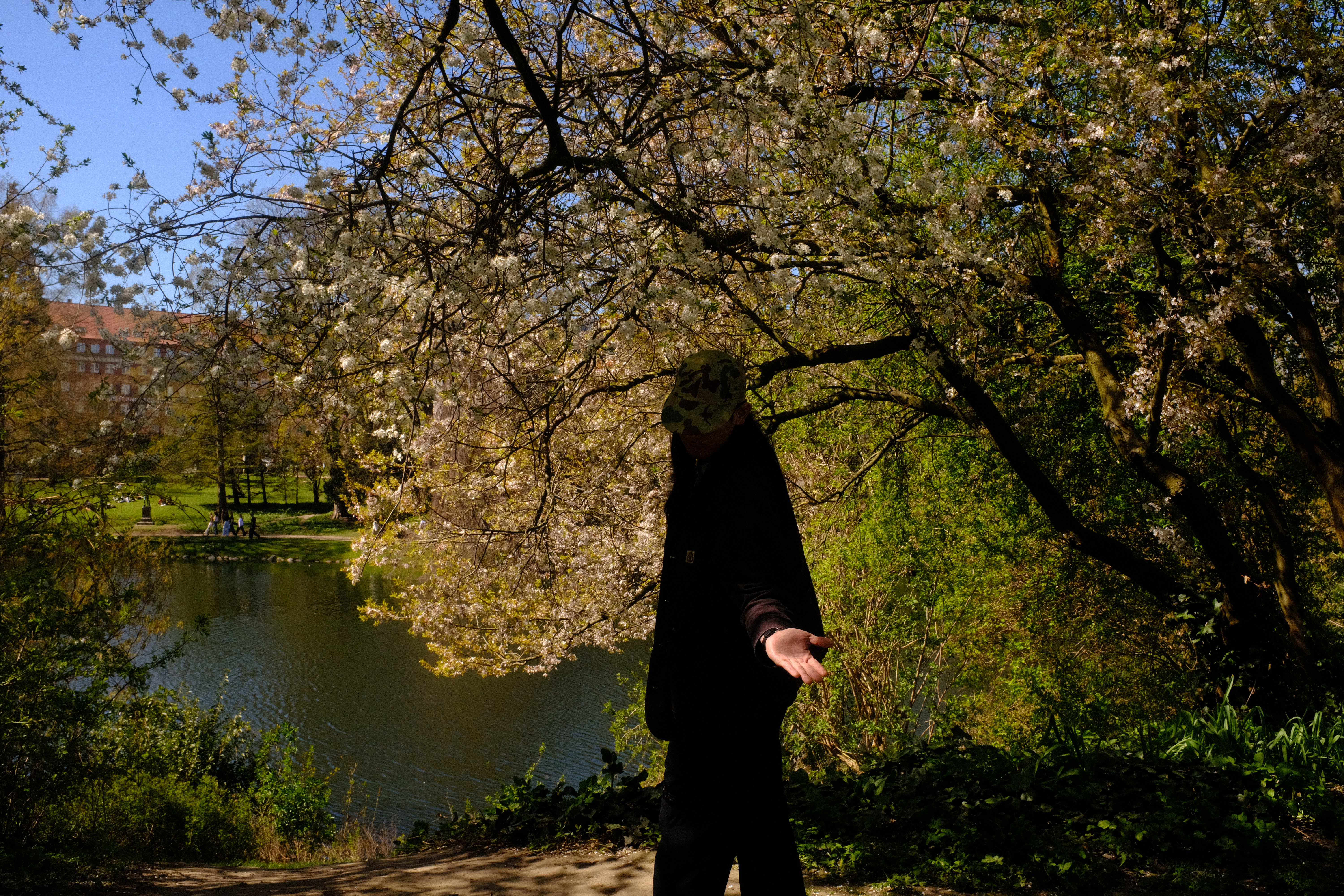 park|656