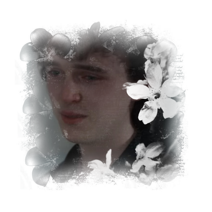 Nicholas Miller✿◌