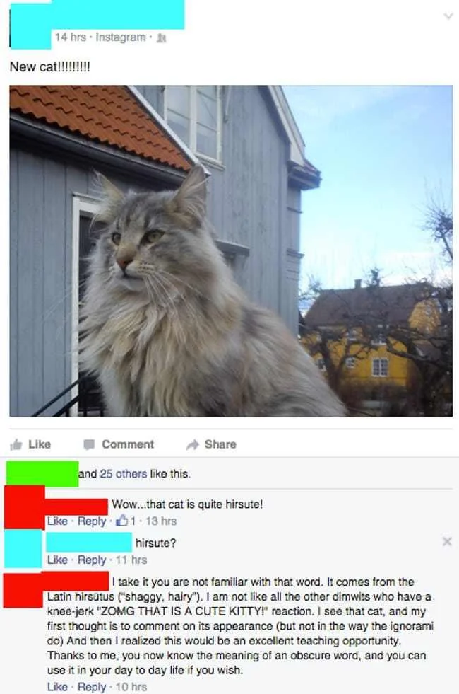 https://files.catbox.moe/9tbtiz.jpg