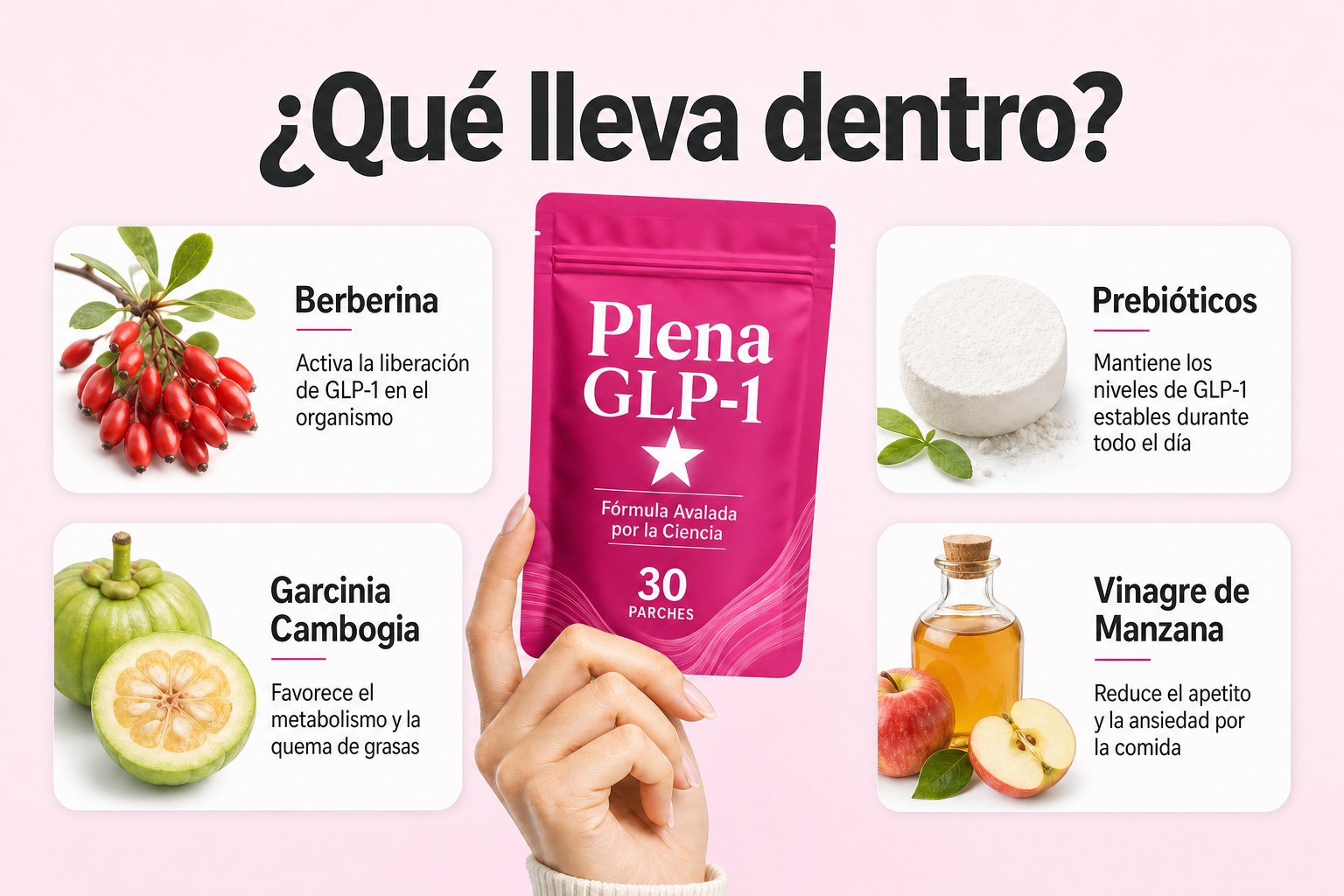 Ingredientes