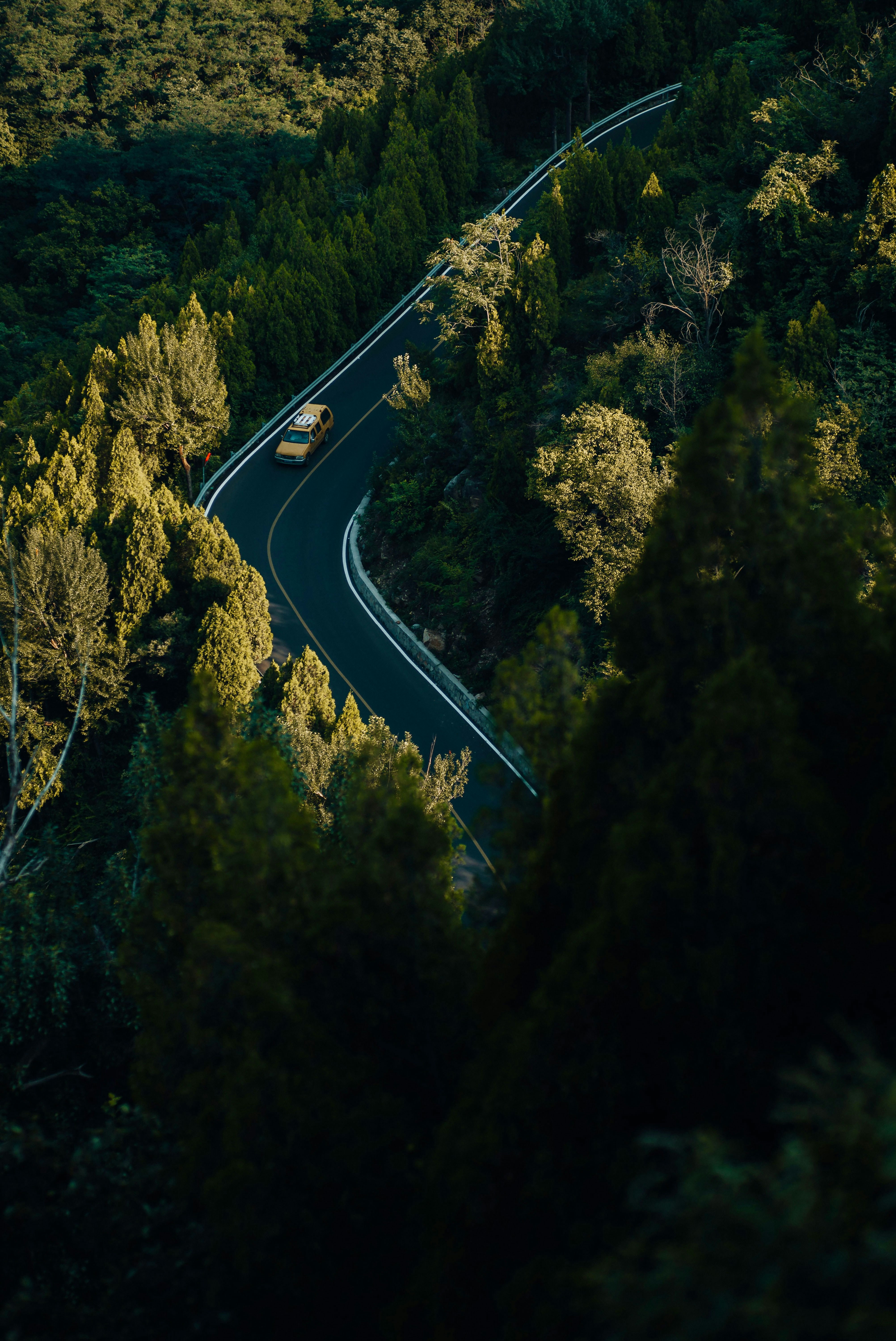 Untitled Image