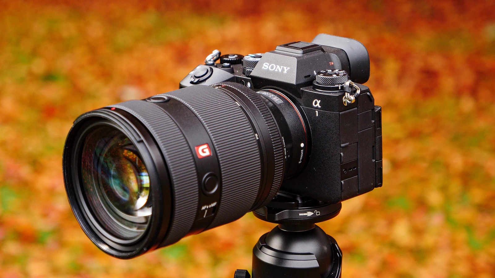 Sony A7R VI vs A7R V: 5 Nâng Cấp Biến A7R VI Thành Flagship Mới? - Hình 5