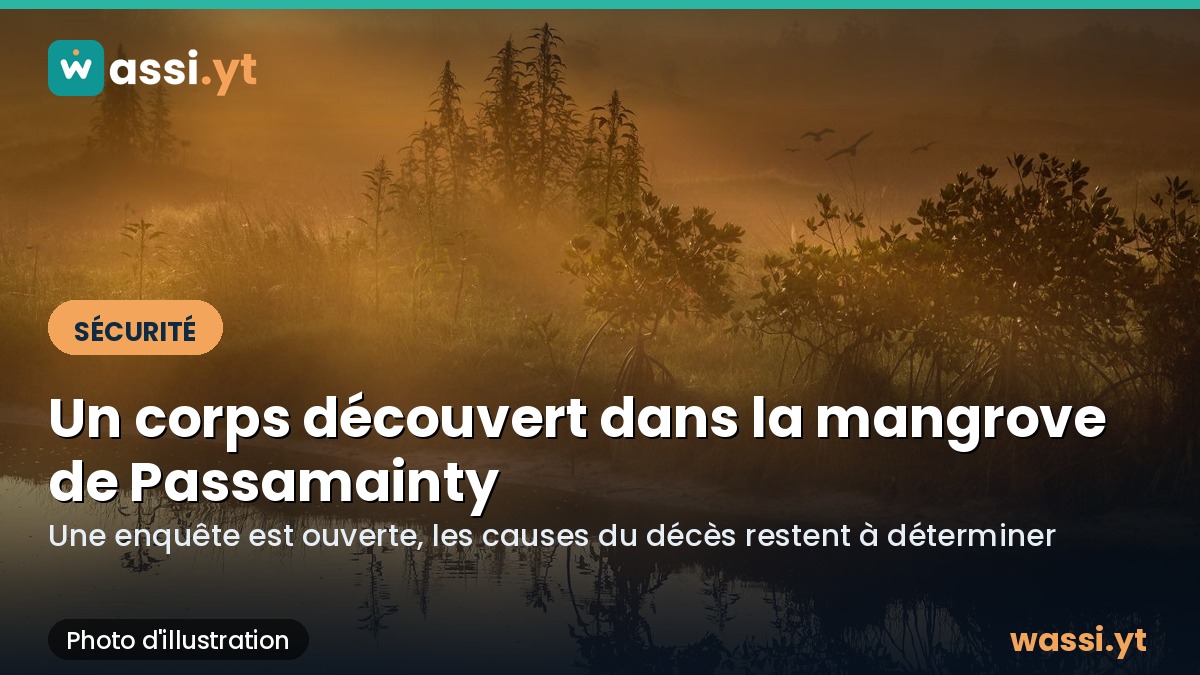 Un corps découvert dans la mangrove de Passamainty, une enquête est ouverte