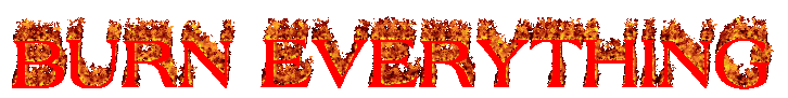 BURN EVERYTHING