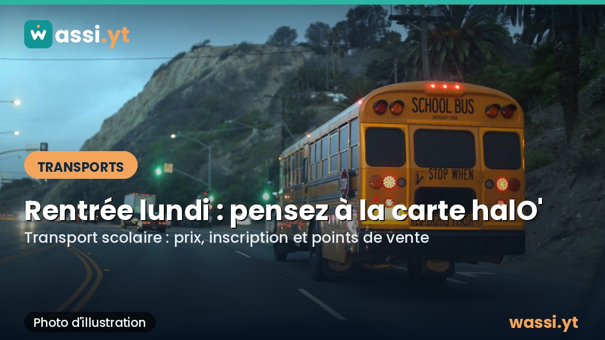 Transport scolaire à Mayotte : comment récupérer la carte halO' avant la rentrée de lundi
