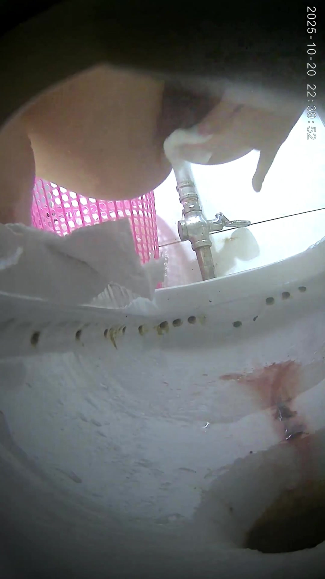 Toilet Spy — P0508(49) — screenshot 2