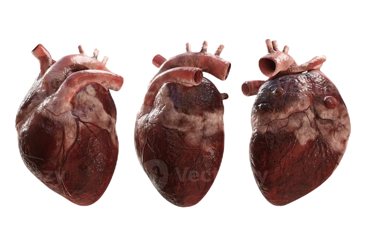 hearts