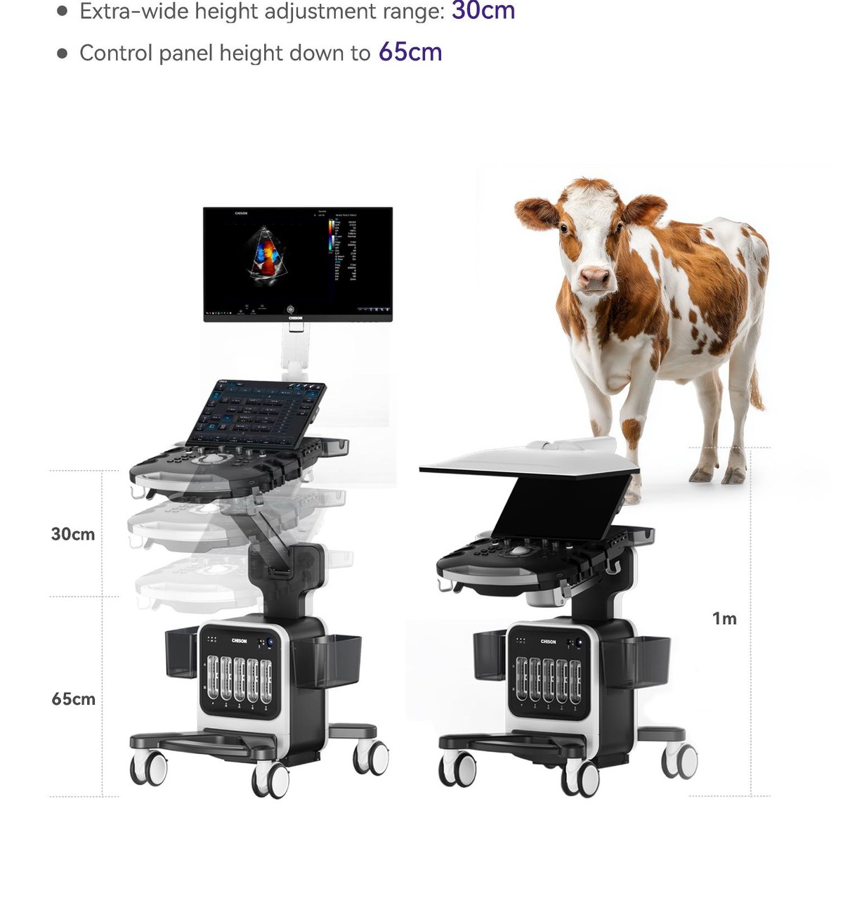 CHISON SonoPort 8 VET - Ergonomic design
