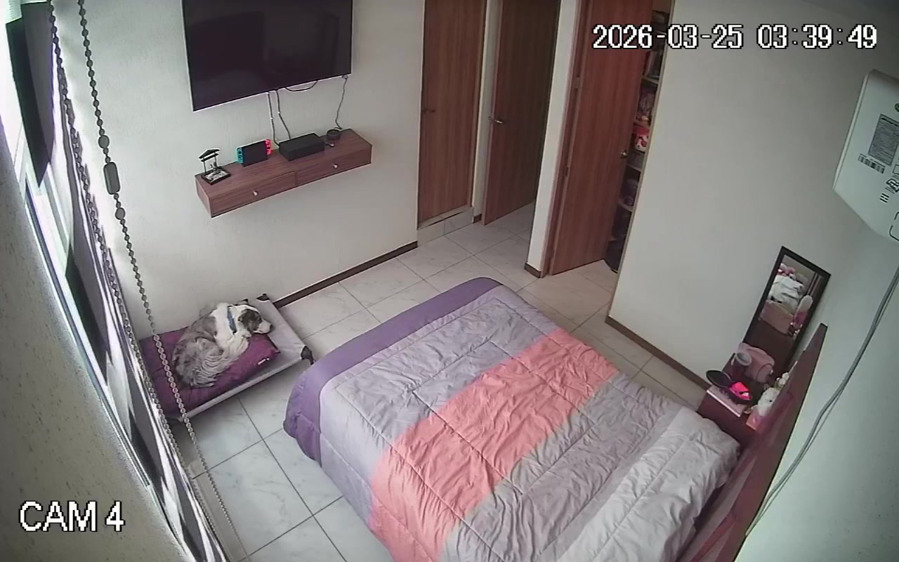 Hidden Voyeur — 1_4907148711483672551 — screenshot 2