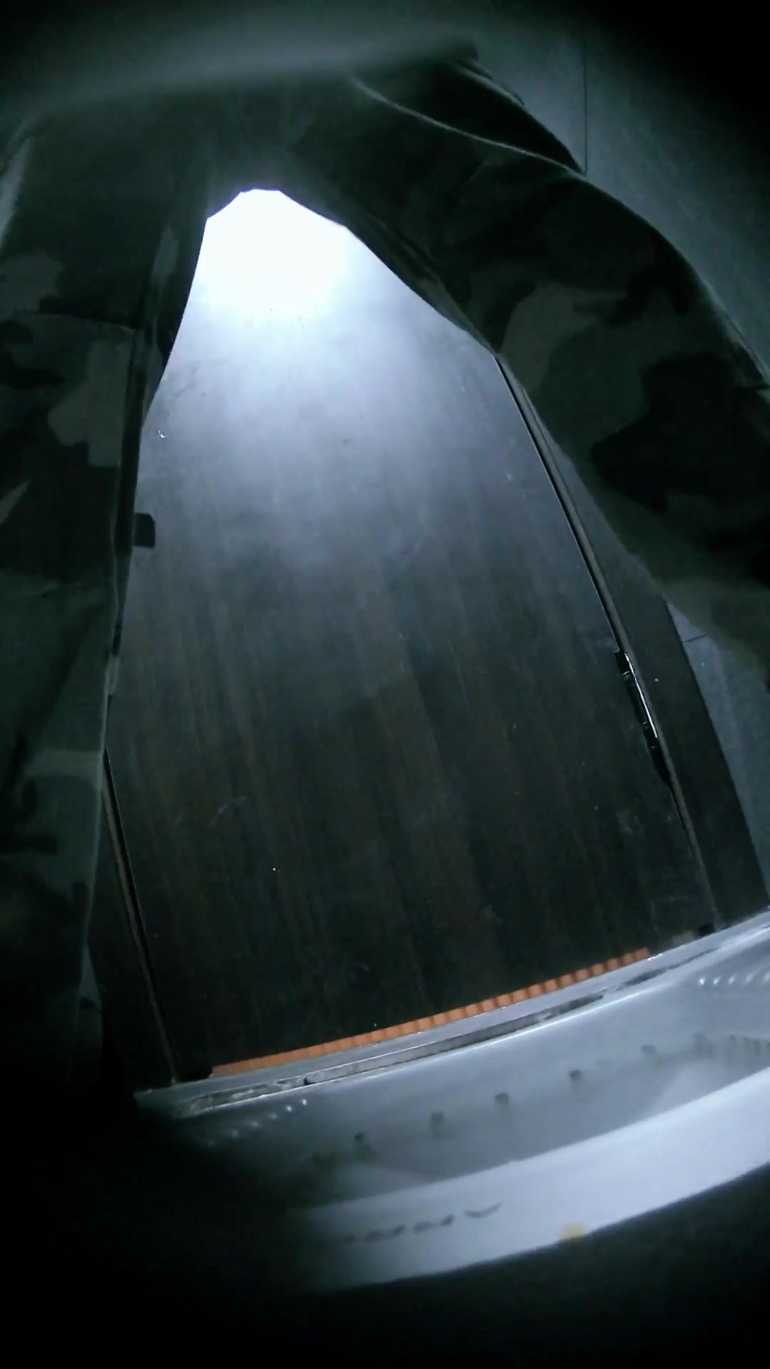 Toilet Spy — 0212(33) — screenshot 2