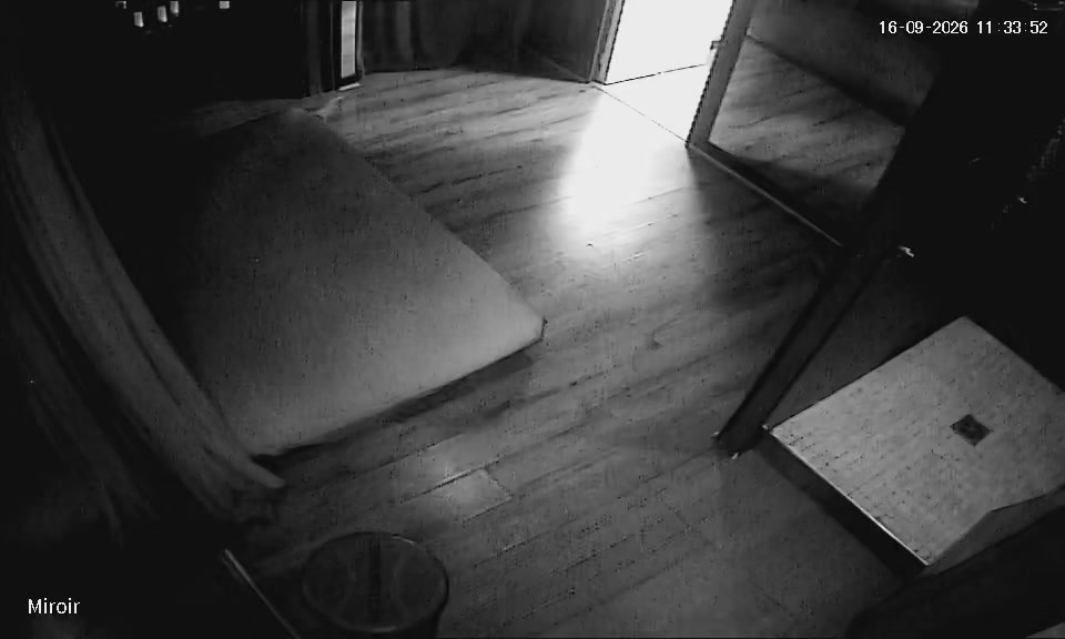 Hidden Voyeur 2 — 2M (32) — screenshot 1