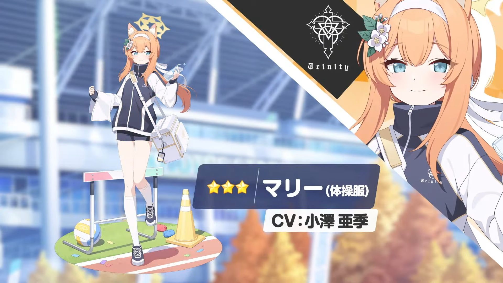 Sports fest Mari limited